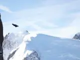 wingsuiter en vol au-dessus des pics enneigés de l'aiguille du midi