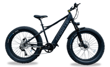 Les avantages d'opter pour un vélo électrique