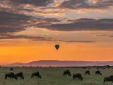 Voyage en montgolfière en Inde