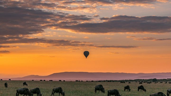 Les meilleures destinations en Inde pour un vol en montgolfière
