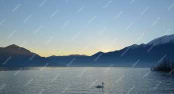 Découvrir Annecy autrement : un tour en avion pour des souvenirs inoubliables