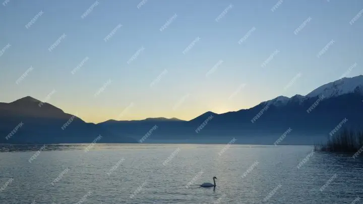 Découvrir Annecy autrement : un tour en avion pour des souvenirs inoubliables