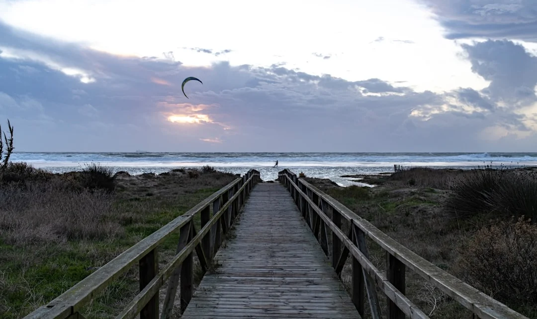 Kitesurf en eau froide : équipement et spots hivernaux